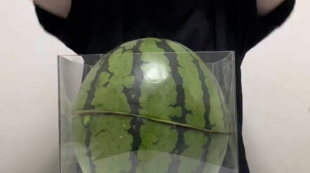 Thí nghiệm vui: Bổ dưa hấu