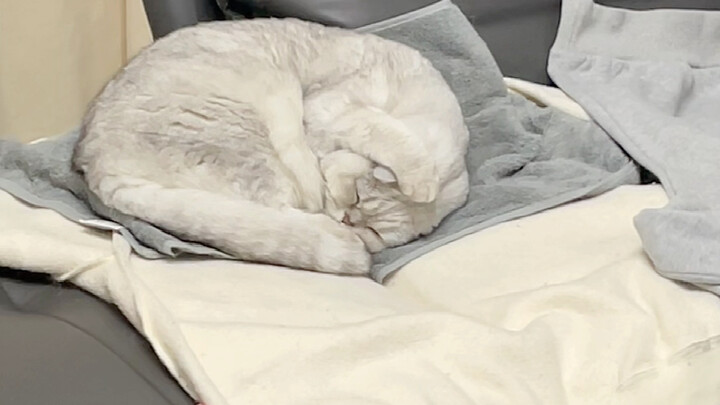 Cả nhà chỉ còn nó là chịu được bố tôi.