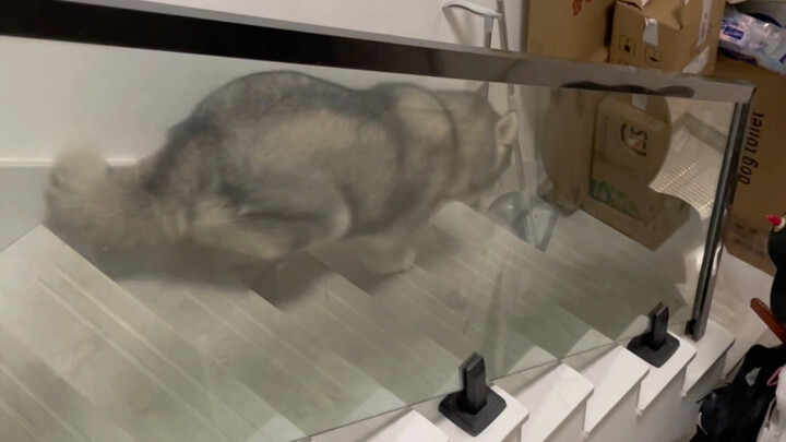 I’ll tidy up first, then we can chat later.