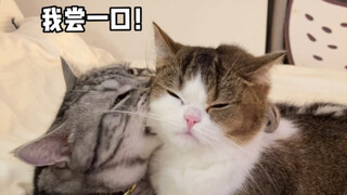 عندما يرغب صديقك أيضًا في عضك قليلاً (أين ستعض يا هذا!!