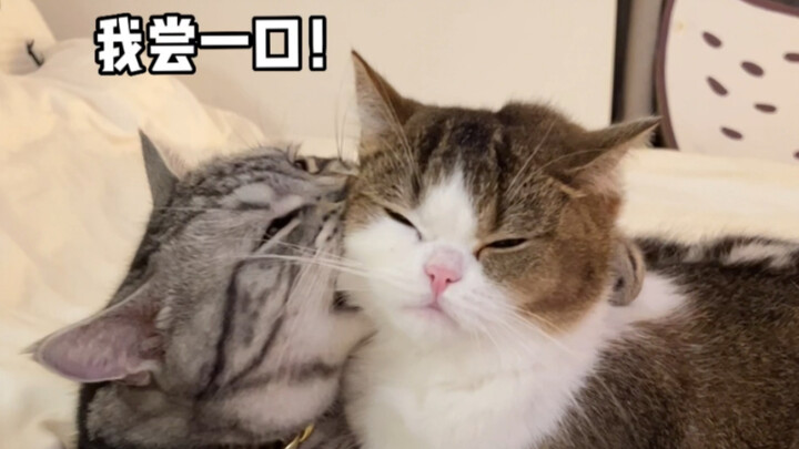 当男盆友也想咬你一口时（咬哪呢你！！