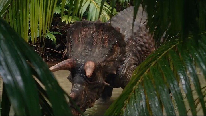 T-Rex vs Triceratops! The Wrong Dinosaur to Mess With 🦖💥