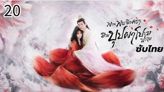 ตอนที่ 20