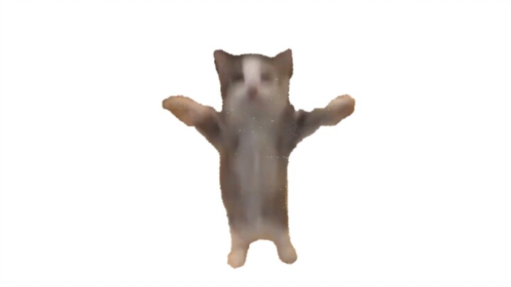 Happy Cat hoãn ngày khai giảng của trường trong mười ngày liên tiếp trong kỳ nghỉ lễ Quốc tế Lao độn