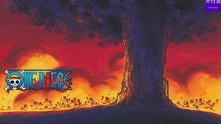 One Piece Special #545: The Five Strongest Trees in the One Piece World