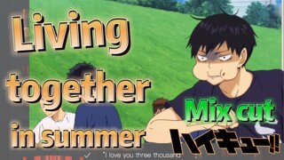 [Haikyuu!!]  Mix cut |  Living together in summer