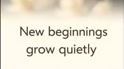 New Beginnings Grow Quietly 🌸