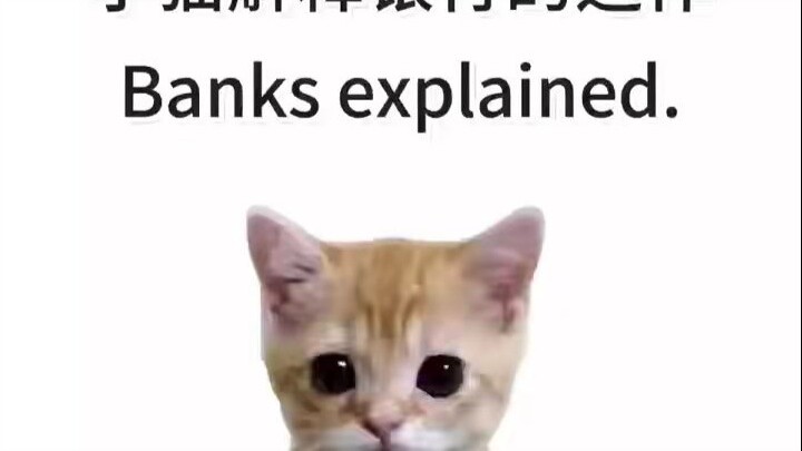 A Kitten Explains How Banks Work