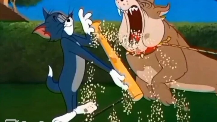 tom and jerry đa vũ trụ