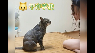 “Mèo cái vẫn là mèo cái mà”