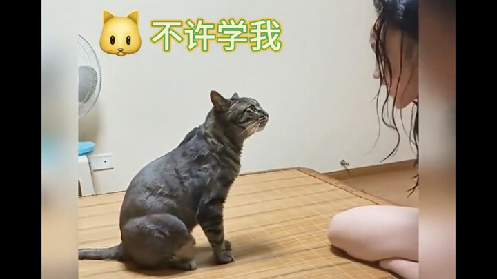 “A little female cat is just a little female cat, y'know!”