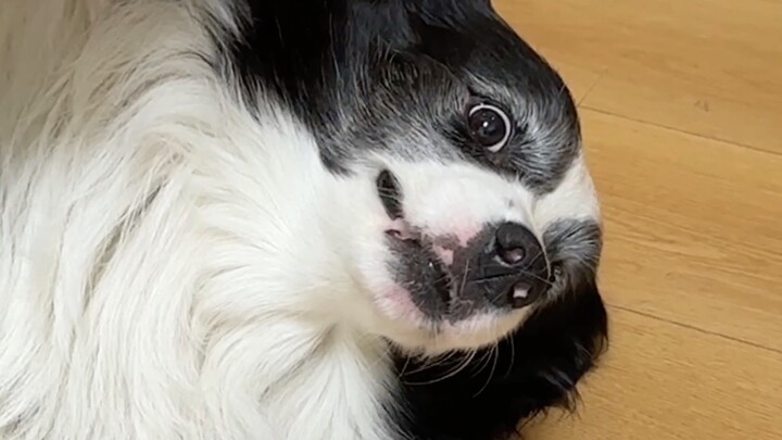 Cuaca terlalu panas, pas main ke luar kakinya lecet. Pulang-pulang terus mengomel terus-menerus.