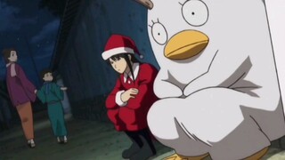 [Gintama] Bộ tóc giả luôn ở chế độ chờ Bộ tóc giả, bạn muốn xuất hiện đến mức nào?