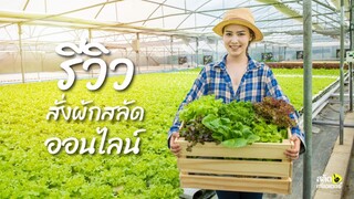 รีวิว สั่งผักสลัด ออนไลน์ l สั่งง่าย เสียหายน้อย l เก็บไว้กินได้เป็นอาทิตย์