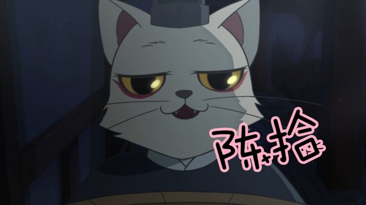 يا عزيزي القط، خلّيه يدلّعه بس!