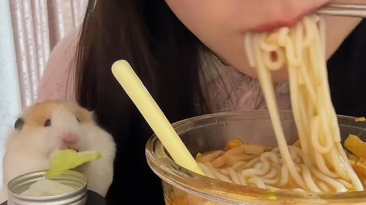 Guys, I finally got to try snail rice noodles!