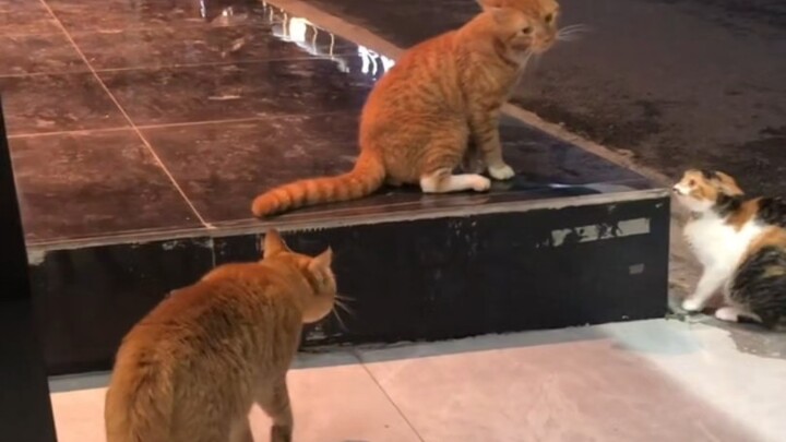 ซานฮวา: ฉันบอกว่าฉันคิดผิดที่เลือกสามีไปแล้ว เชื่อมั้ย?