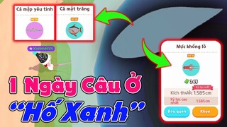 Play Together | 1 Ngày Câu Ở "HỐ XANH" Ra Toàn Cá Khủng | Bắt Được Mực Khổng Lồ Và Cái Kết :)))