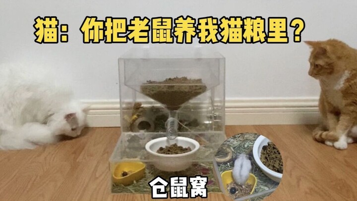 Mouse: You built the Cat Cafeteria in my nest?