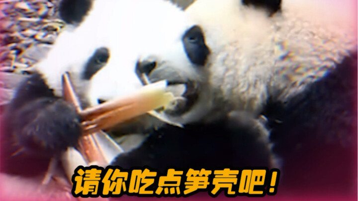 果赖：妈咪们 不用担心我没饭吃啦