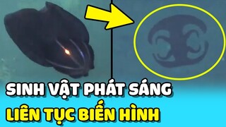 💥Phát hiện sinh vật PHÁT SÁNG và BIẾN HÌNH liên tục DƯỚI BIỂN SÂU | TIN GIẢI TRÍ