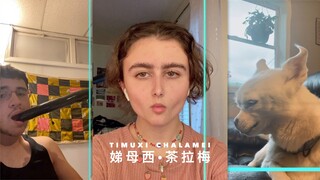 #Daily Trends# 这都是些什么鬼畜滤镜啦！Pt.4