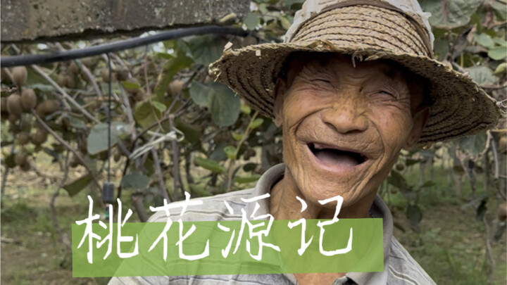 那天我意外闯入了一片“世外桃源”…