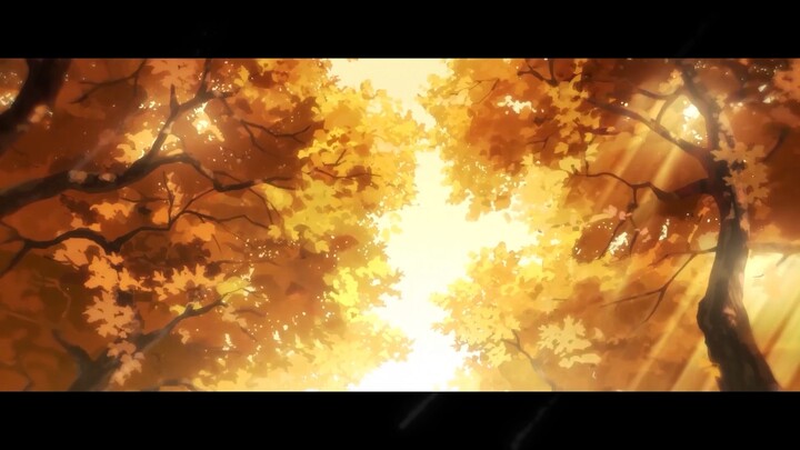 Beautiful scenes