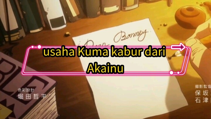 usaha Kuma kabur dari Akainu