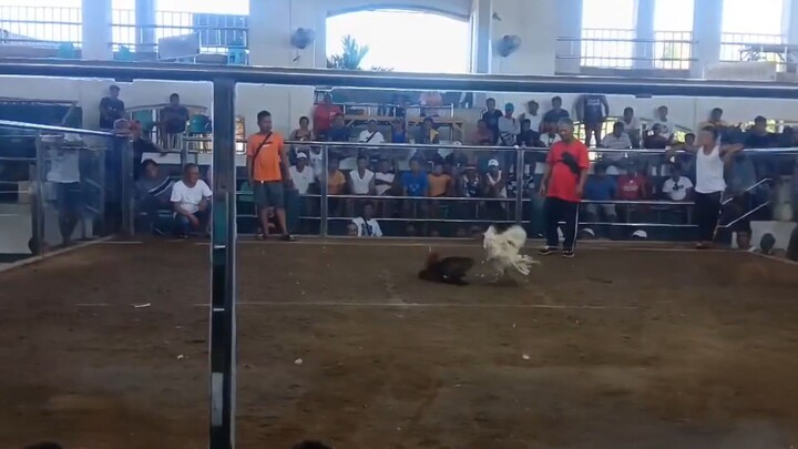 my white win...#whitekelso #white