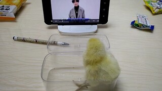 "Kun Kun Stops Crying"