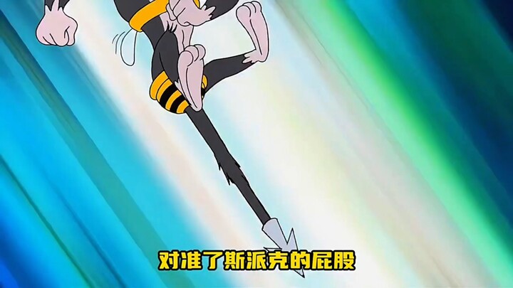 猫和老鼠