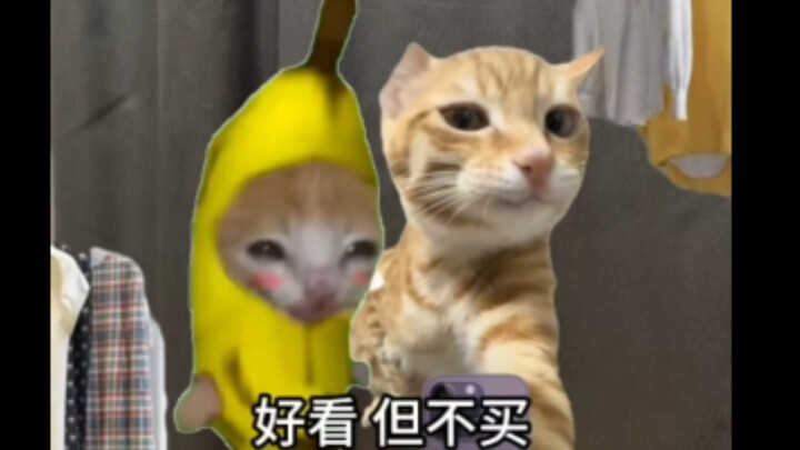 Quy trình tiêu chuẩn cho buổi tụ tập bạn thân