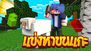 [Minecraft] จะเกิดอะไรขี้นเมื่อต้องมาแข่งหาขนแกะ!!