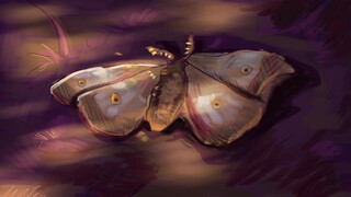 Bug like an Angel - Mothwing
