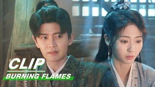 Bai Cai Questions Gou’s Identity | Burning Flames EP25 | 烈焰 | iQIYI