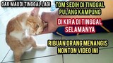 Kucing Disabilitas Tom Sedih Di Kira Di Tinggal Pulang Kampung Selamanya..!