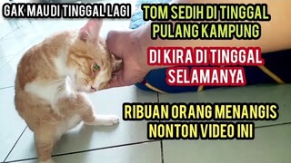 Kucing Disabilitas Tom Sedih Di Kira Di Tinggal Pulang Kampung Selamanya..!