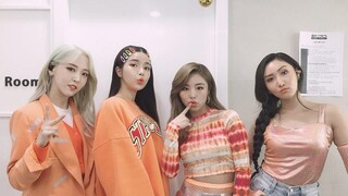 MAMAMOO steals the show; Wheein and Hwasa, you two, calm down a bit—the host bursts out laughing!