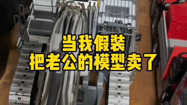 Khi tôi giả vờ bán mô hình của chồng
