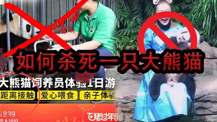 你知道如何杀死一只大熊猫吗？为悼念2019年最可爱的星晴宝贝，请听来自一只大熊猫的求助