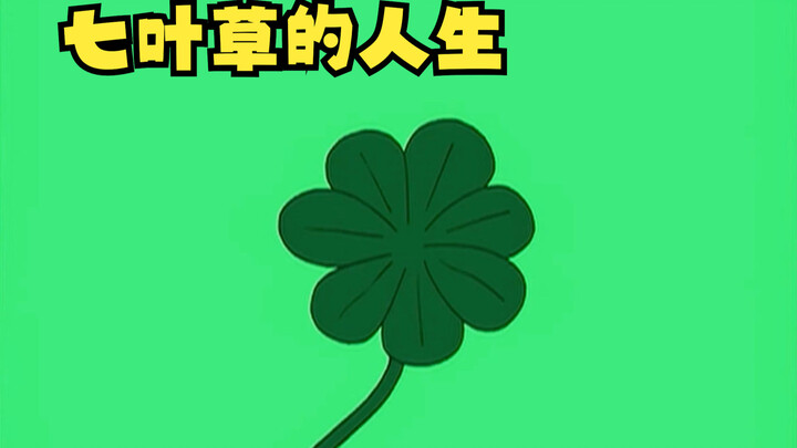 飞出个未来：幸运七叶草