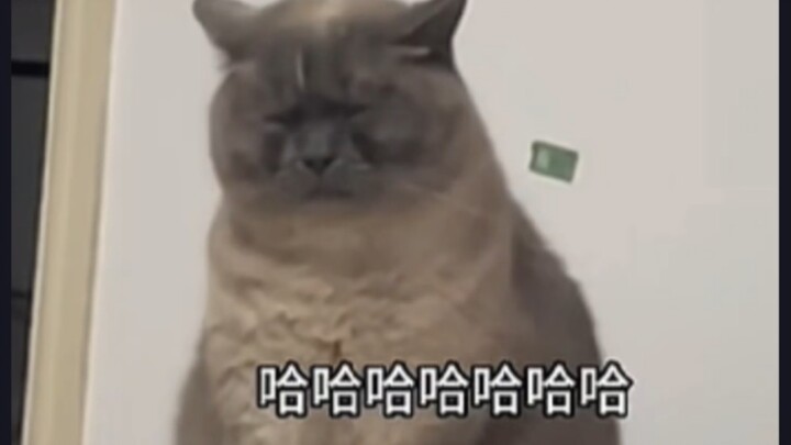 [Menggambar Sendiri] Beberapa Hal Ajaib di Internet ala Jimmy Liao