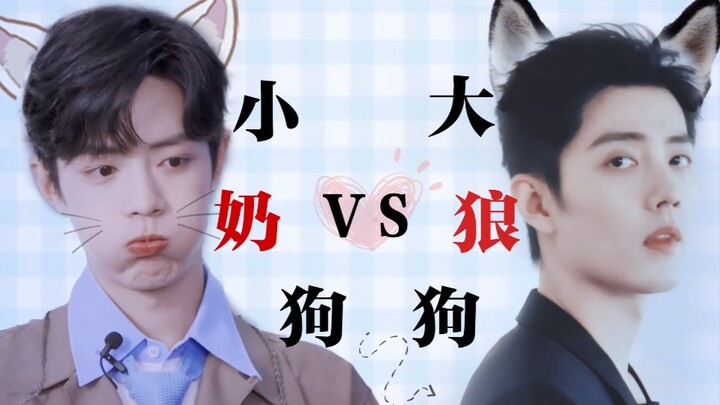 Little Puppy Dog vs. Big Wolf Dog: Which One Is Your One Pick? [Take One Home for the Qixi Festival 