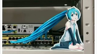 Look, Hatsune Miku~