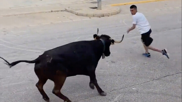 Regardless of the outcome, every participant deserves praise, because they've demonstrated true figh