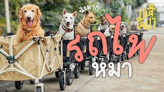 (EN) สร้างรถไฟให้หมานั่ง - มหึหมา EP117