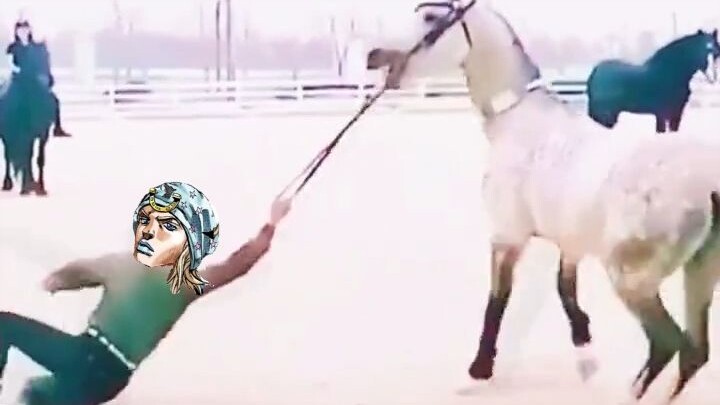 【jojo】 Johnny style mount
