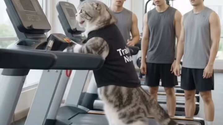 Cat Cardio 😬