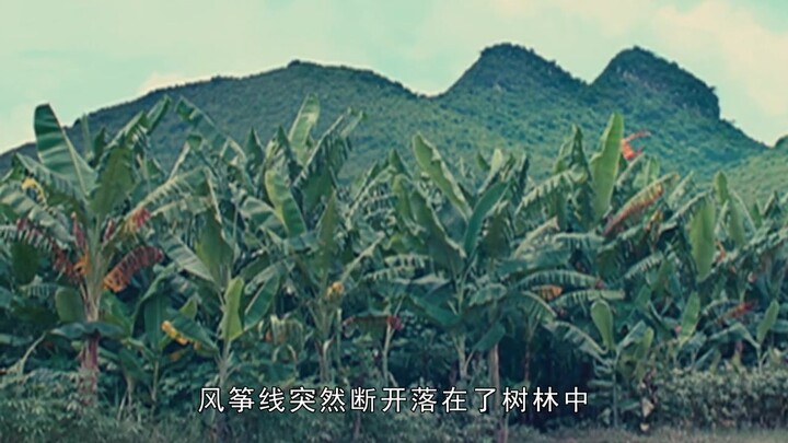 Bộ phim đan xen dục vọng con người, Trương Tịnh Sơ hy sinh quá lớn để đạt được sự chân thực, khiến t